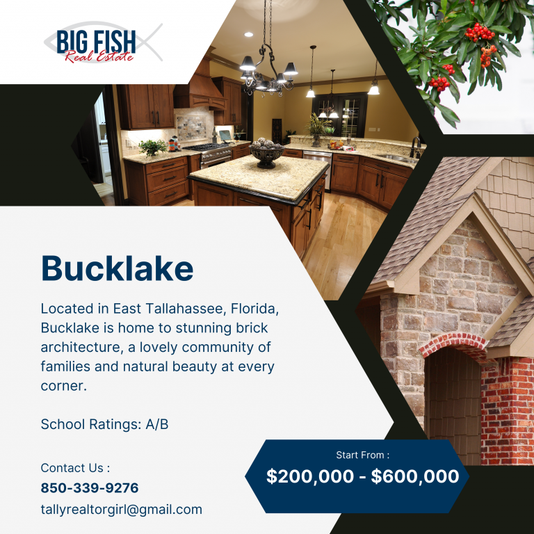 Tina Coombs, Big Fish Real Estate Services, LLC in Tallahassee, FL (6)