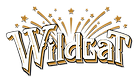 Wildcat in Franklin, PA (3)