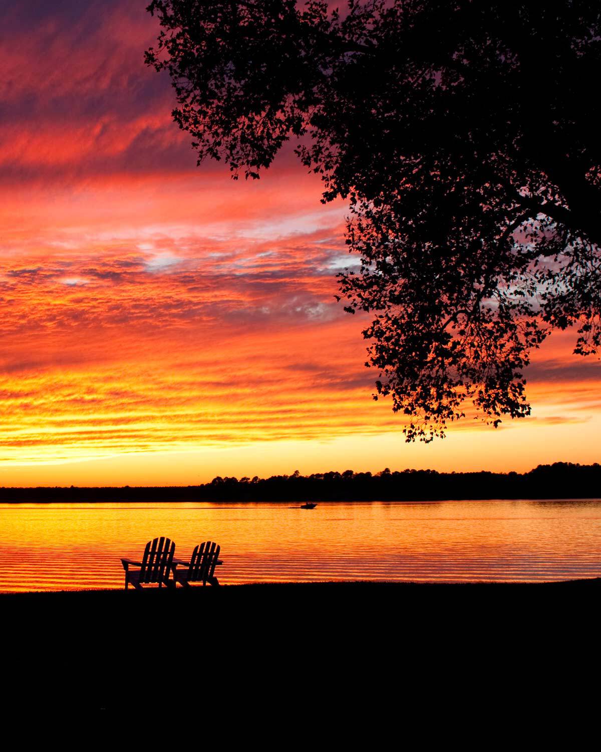 Sandaway Suites & Beach in Oxford, MD (6)