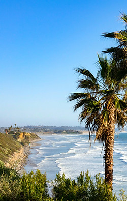 Michelle Ozanne | Queen Bee Realty | Compass in Encinitas, CA (3)