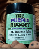 The Purple Nugget in Manitowoc, WI (3)