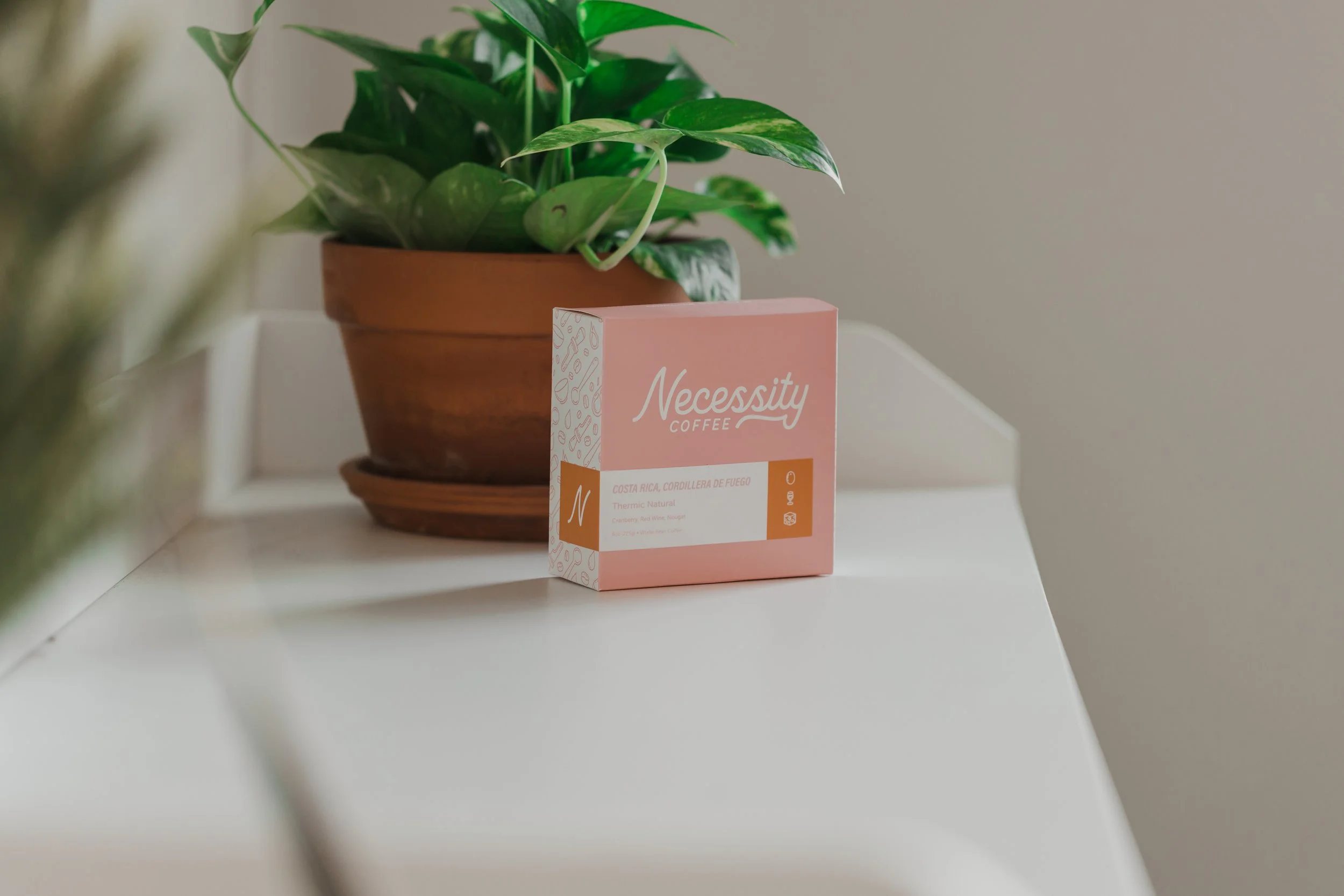 Necessity Coffee in Encinitas, CA (3)