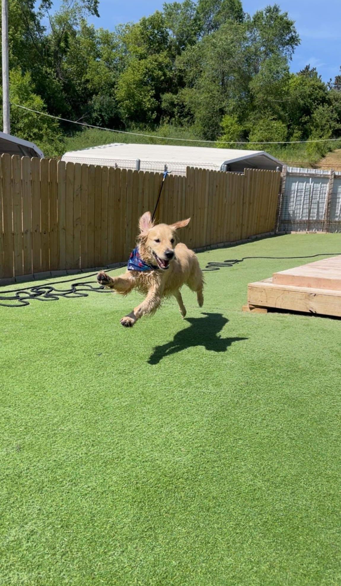 Pet Retreat in Wisconsin Dells, WI