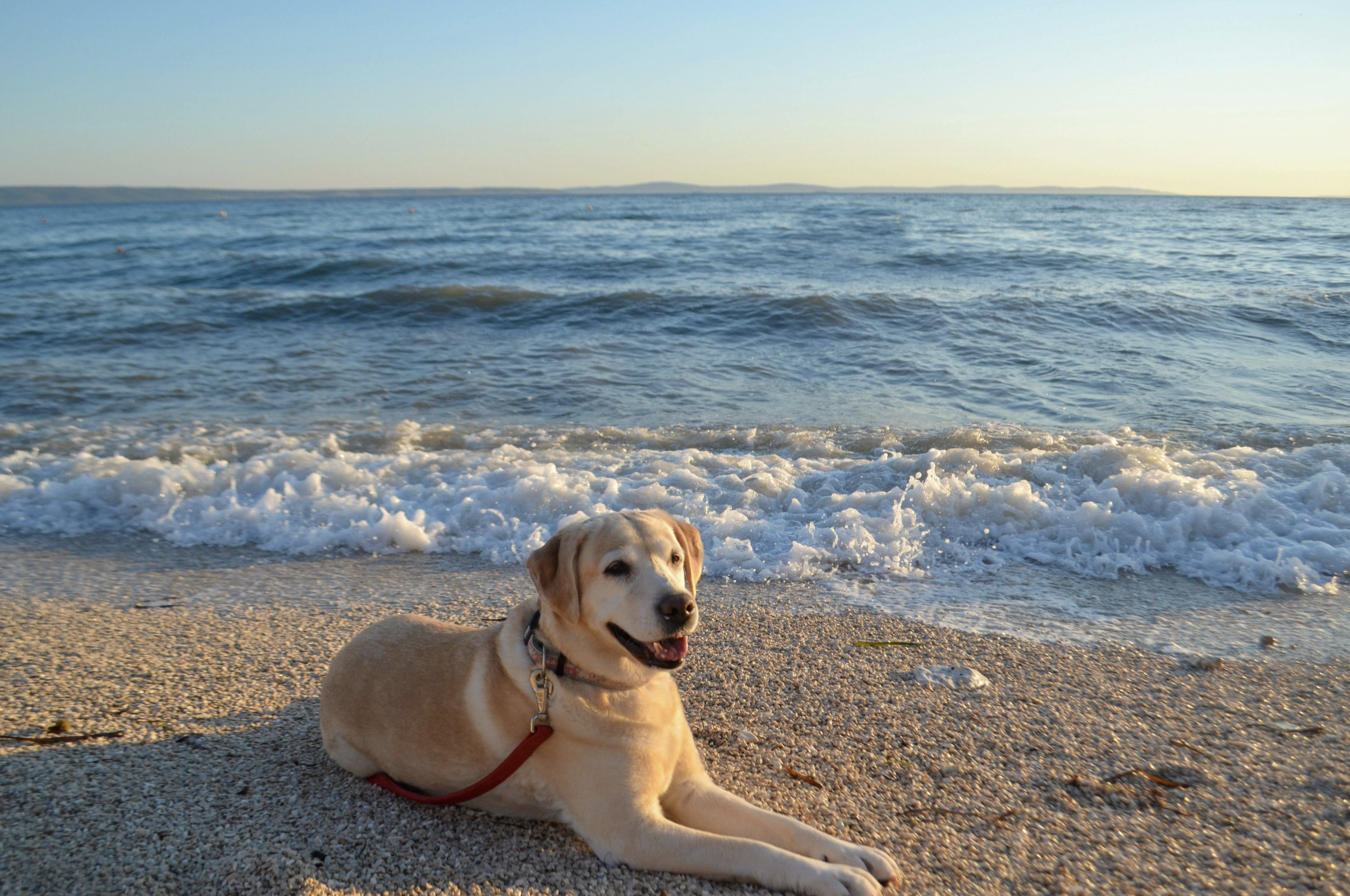 Southern Shores Realty in Southern Shores, NC