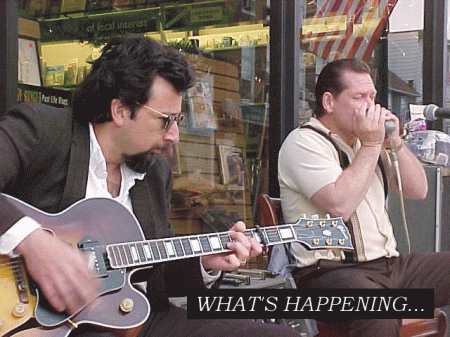 Washington Street Books & Music in Havre De Grace, MD (2)