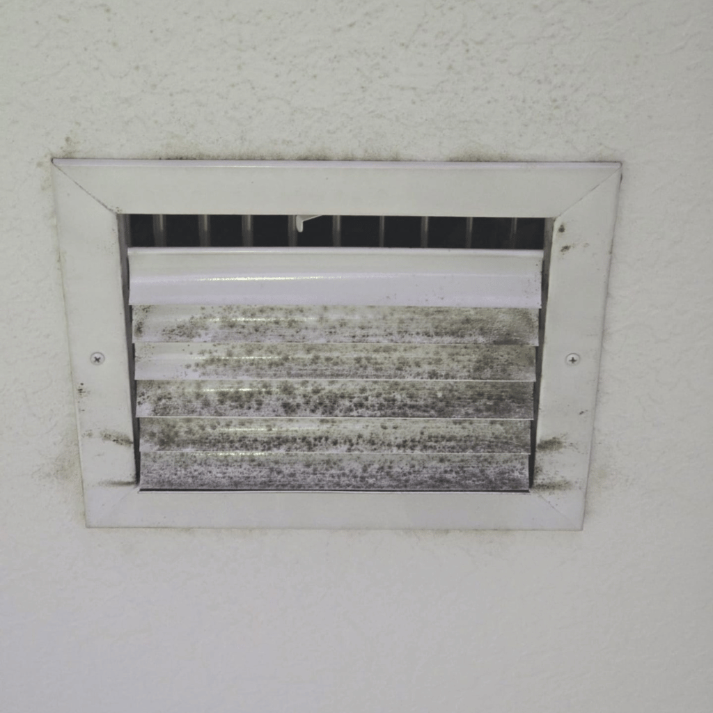 Home Watch Pros of Naples in Naples, FL (4)