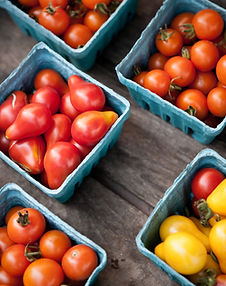 Goshen Farmers Market in Goshen, IN (2)