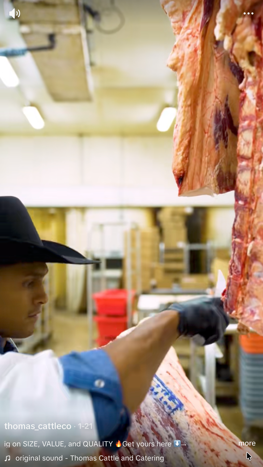 Thomas Cattle & Catering in Dayton, TX (6)