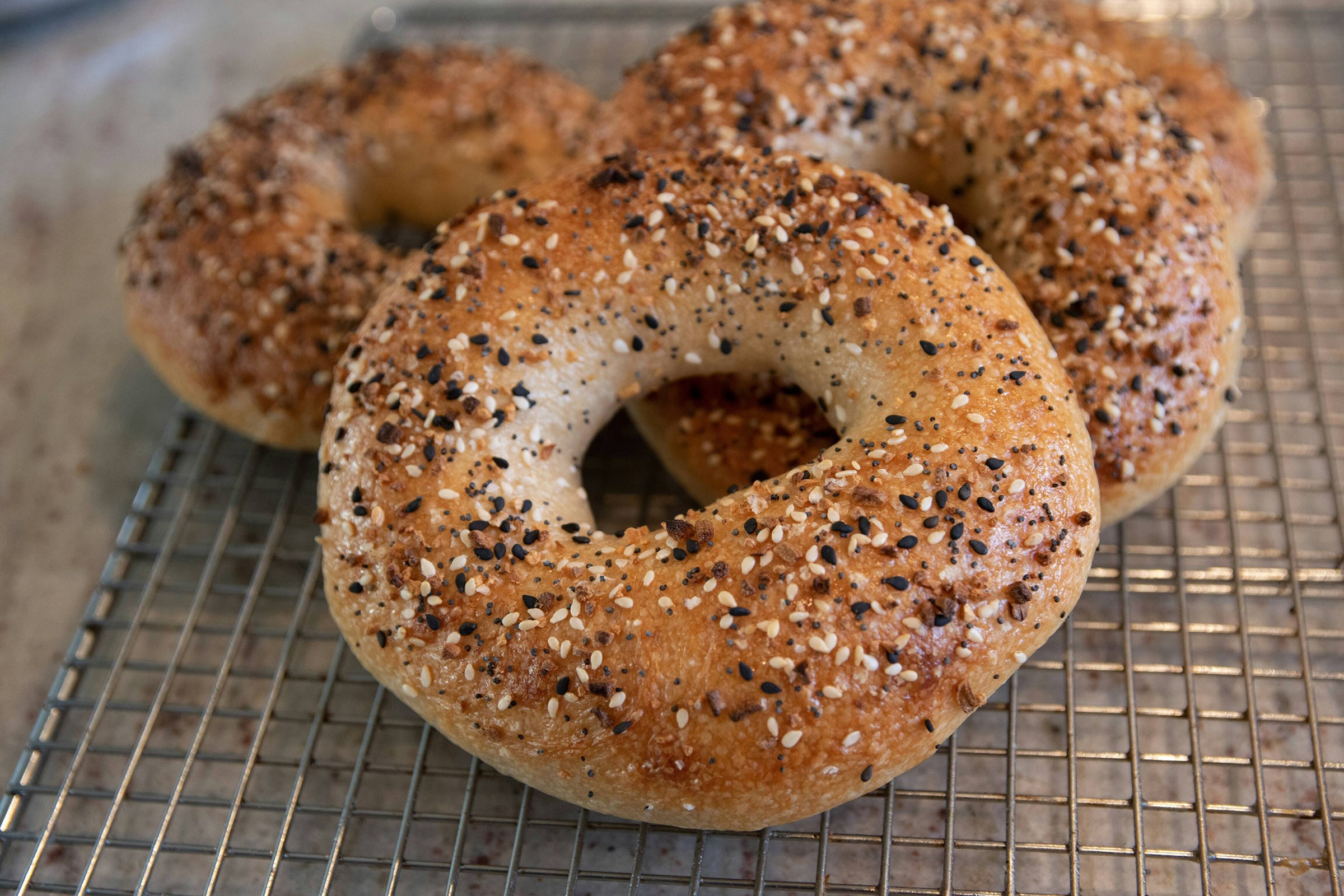 Island Bagels in Carolina Beach, NC (2)