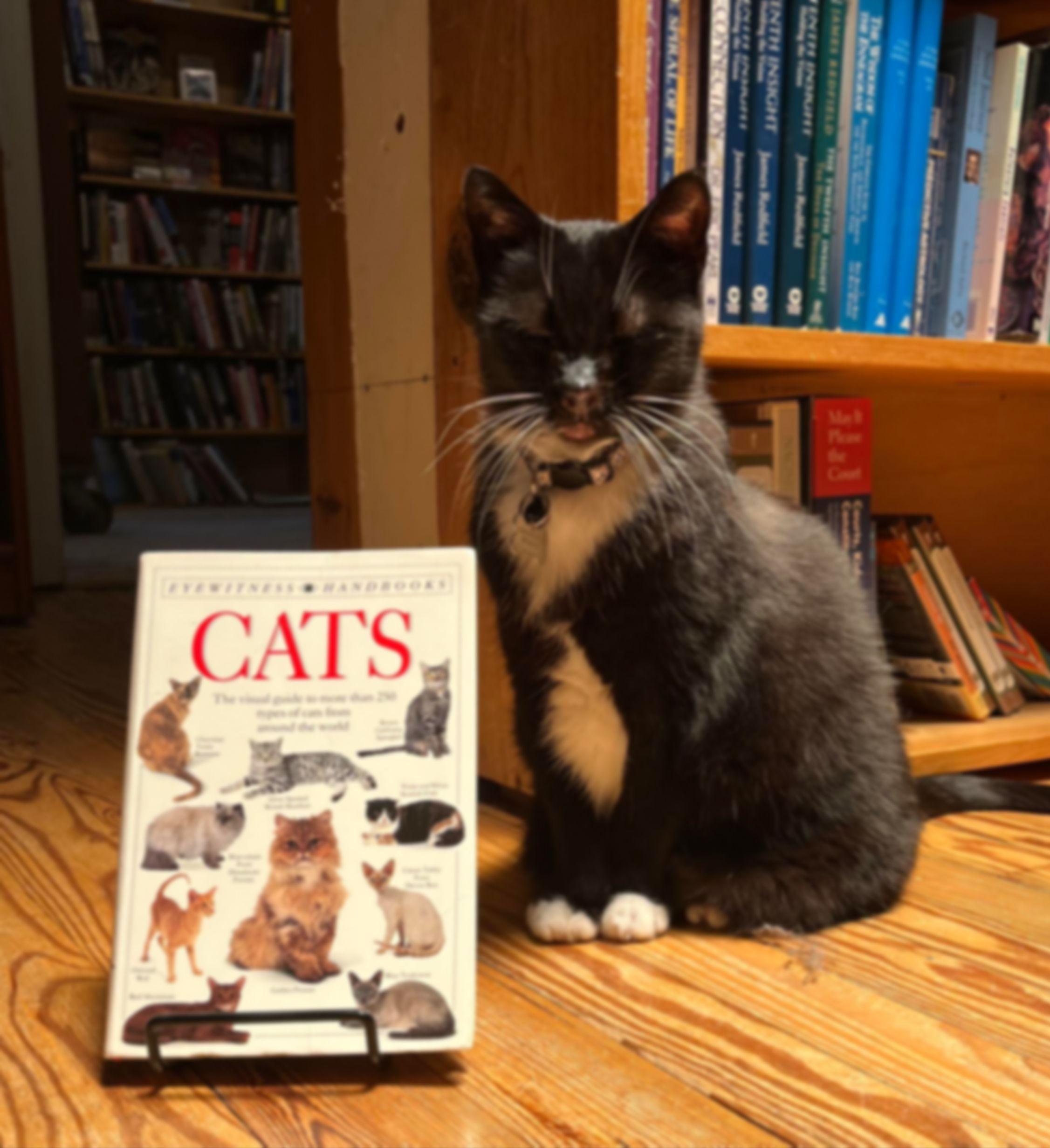Shelf Life Books in Richmond, VA (3)