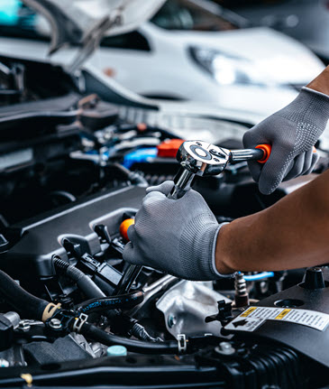 Auto Lube & Spa Inc in Berwick, PA