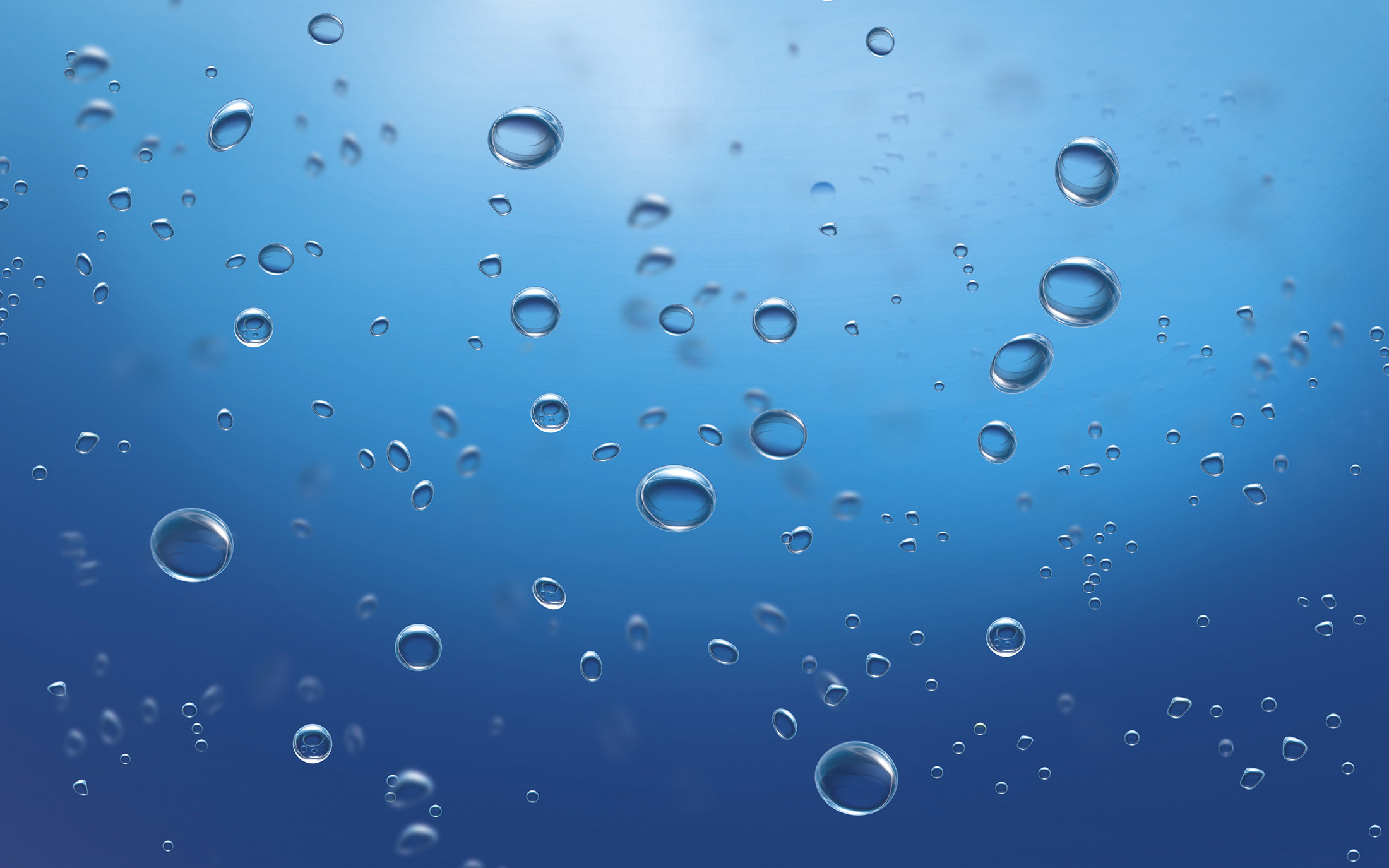 Unlimited Auto Wash Frenchman’s in Palm Beach Gardens, FL (2)