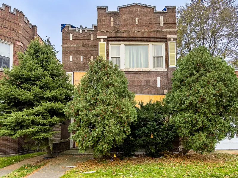 Michael Di Giovanni / Real Estate Broker / Real Brokerage LLC in Evanston, IL