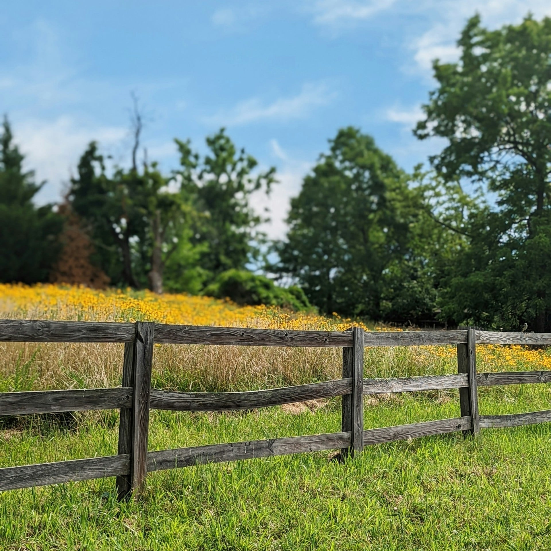 Beth Ohler Group of J&B Real Estate, Inc. in Walkersville, MD