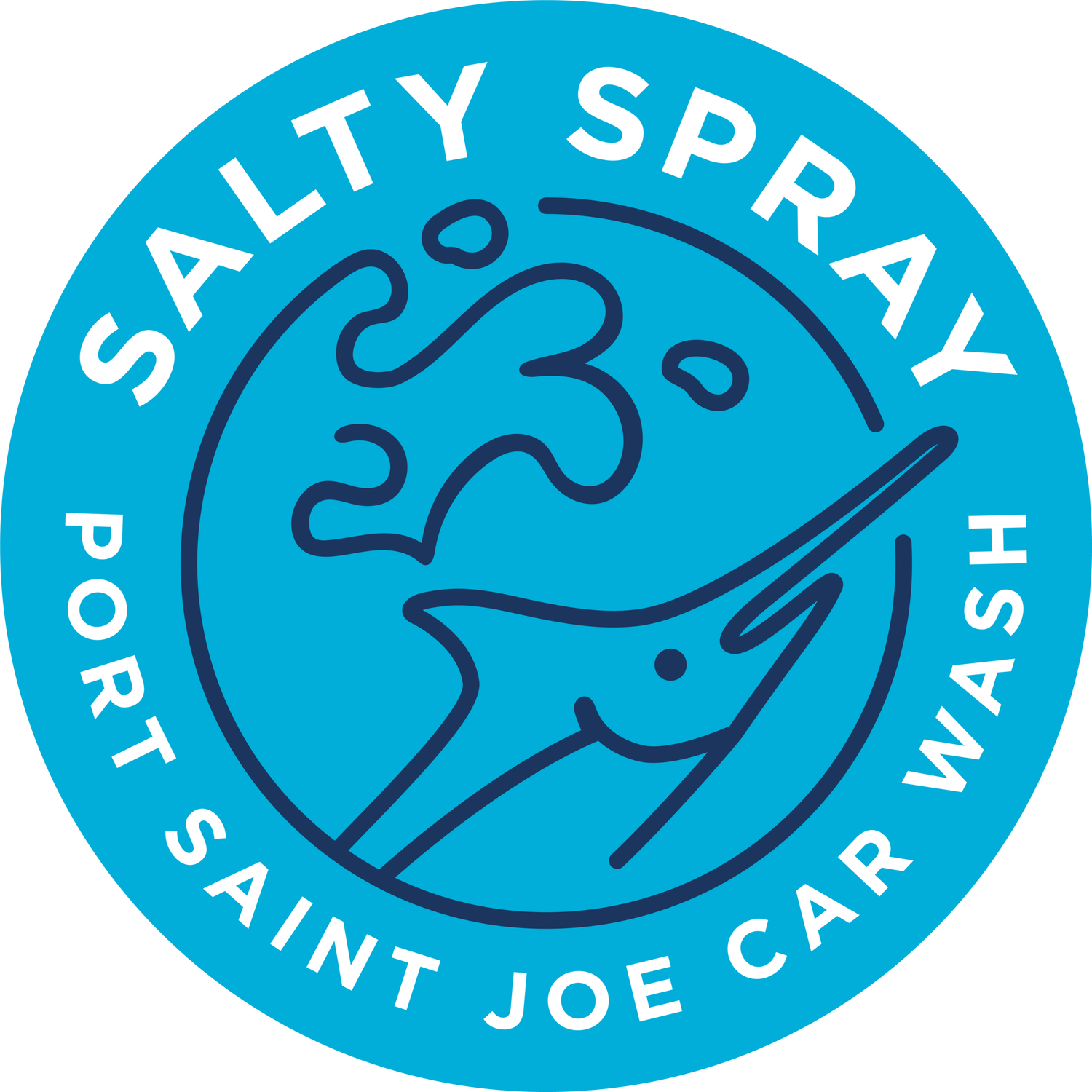 Salty Spray Car Wash in Port St Joe, FL (5)