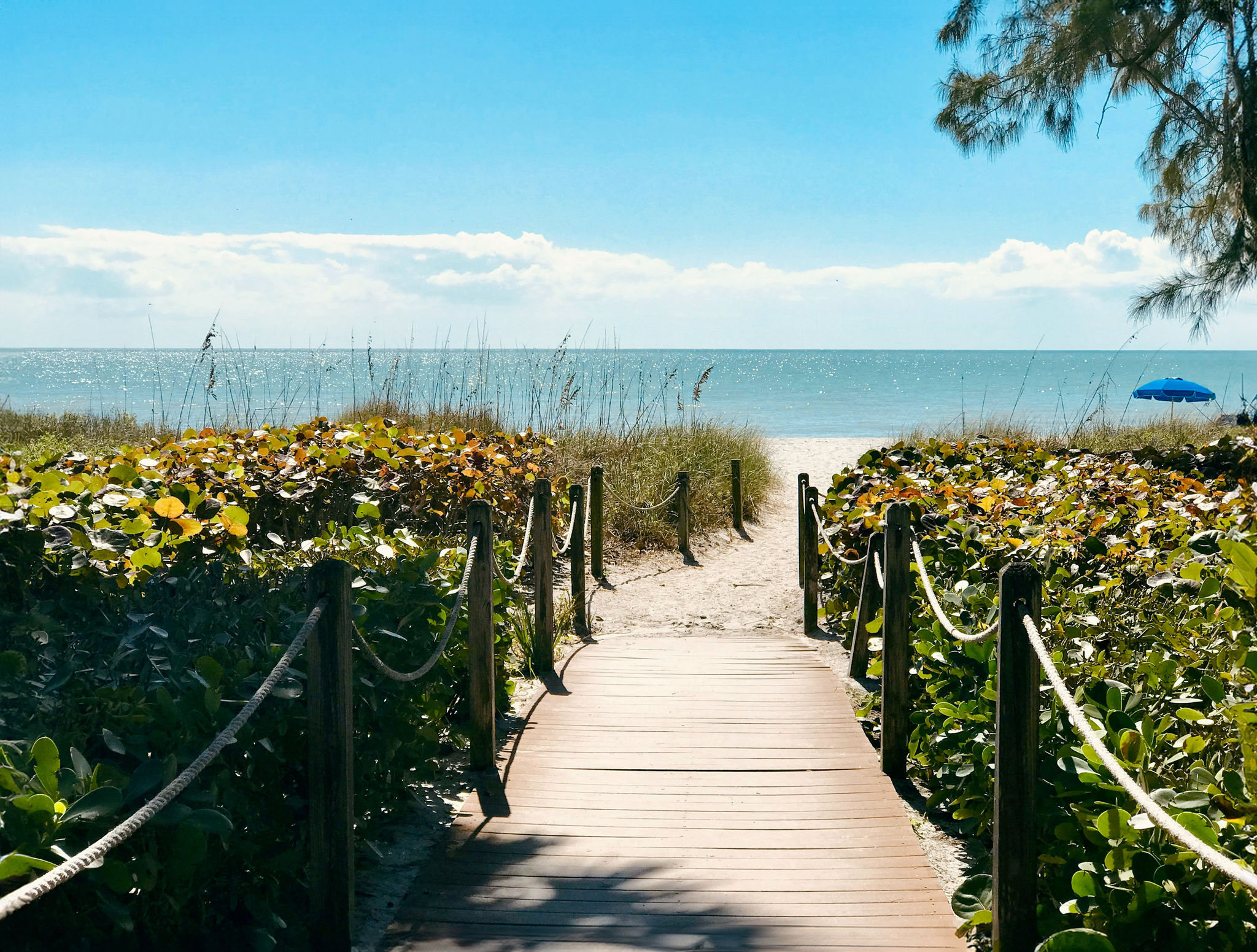 South Seas Real Estate in Captiva, FL (2)