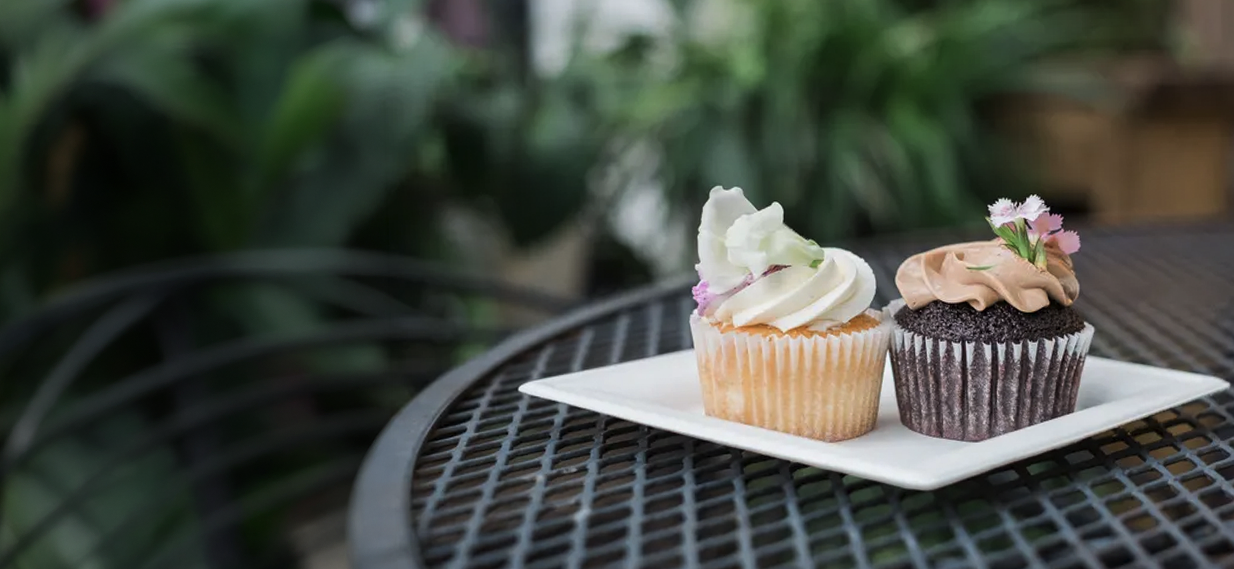 Confections in Pittsburgh, PA (4)