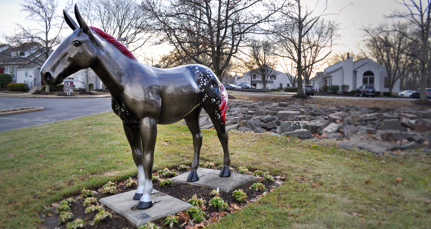 Williams Ronald A in Doylestown, PA