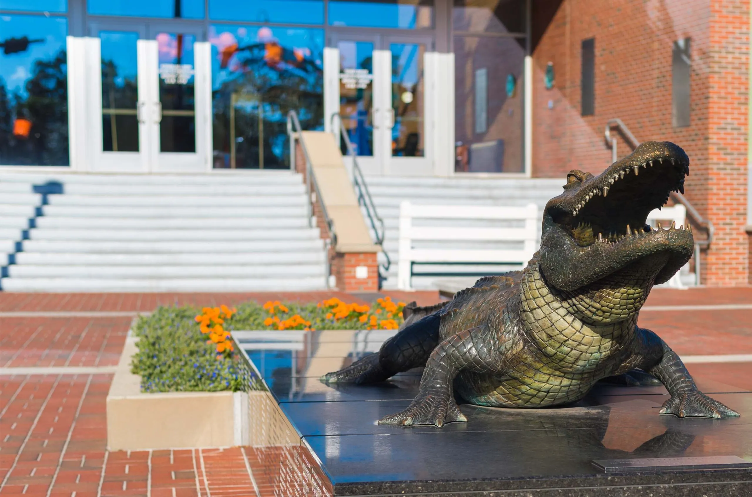 Galigani Law Firm in Gainesville, FL (3)