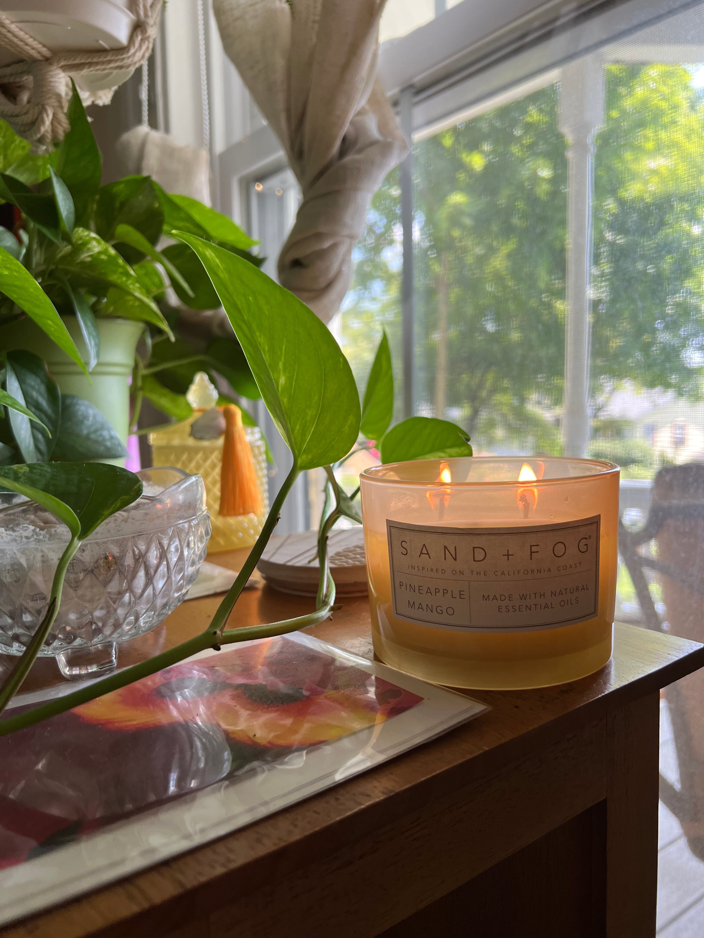 Pia's Wellness Den in Boonton, NJ (3)