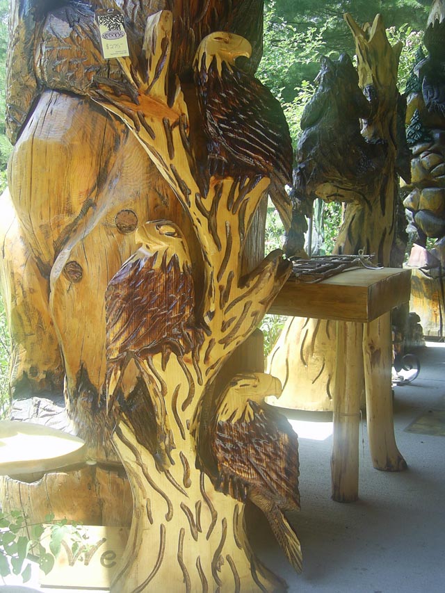 Watson's Woods in Wisconsin Dells, WI (4)