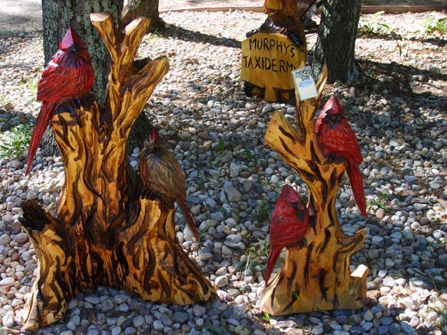 Watson's Woods in Wisconsin Dells, WI (6)
