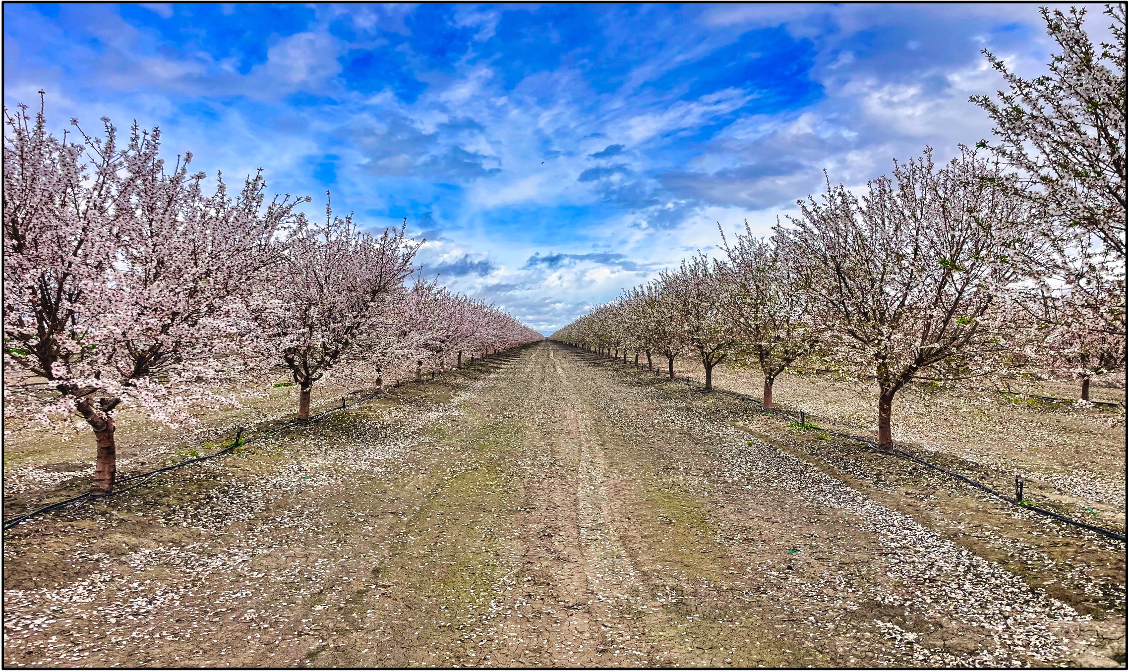 Shane P Donlon Ranch Broker in Patterson, CA