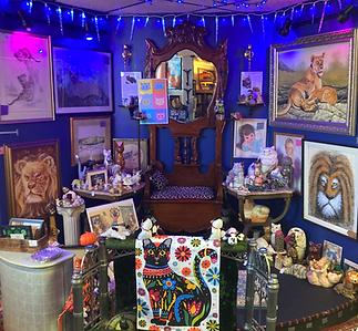 Scrappy Cat (a curiosity shop) in Lansdowne, PA