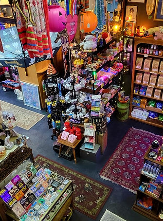 Scrappy Cat (a curiosity shop) in Lansdowne, PA (3)