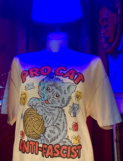 Scrappy Cat (a curiosity shop) in Lansdowne, PA (6)