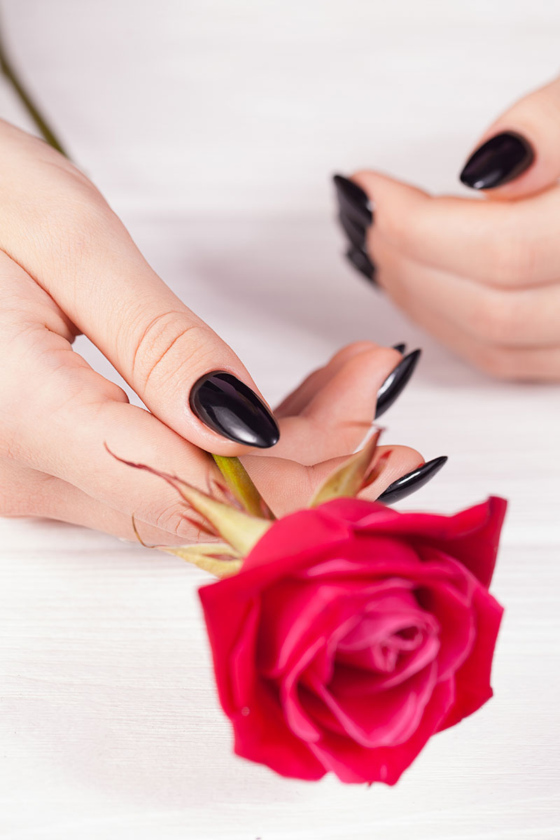 Divine Nail Spa Del Ray/Alexandria in Alexandria, VA (3)