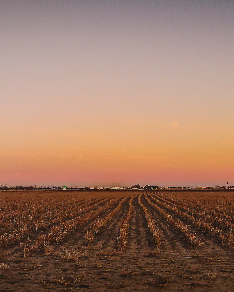 Billington Real Estate in Plainview, TX (2)