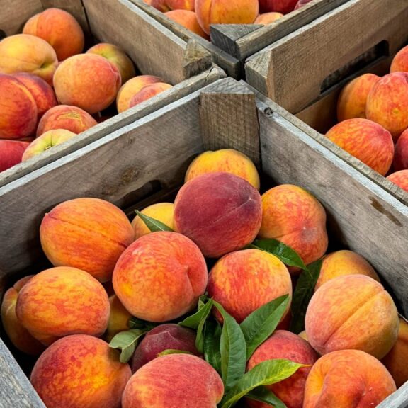 Brown's Orchards & Farm Market in Loganville, PA (3)