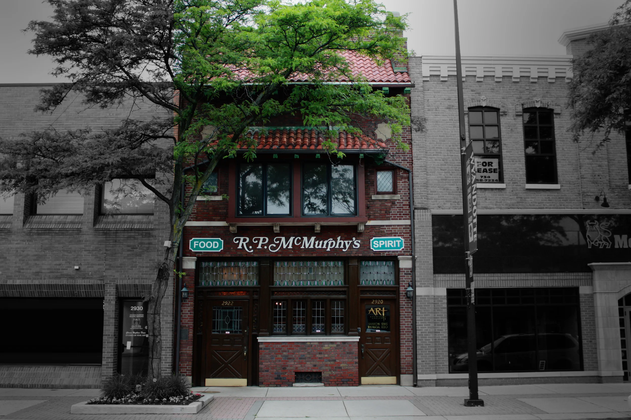R.P. McMurphy's in Wyandotte, MI (2)