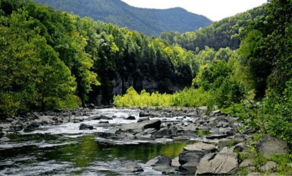 Haysi in Haysi, VA (6)