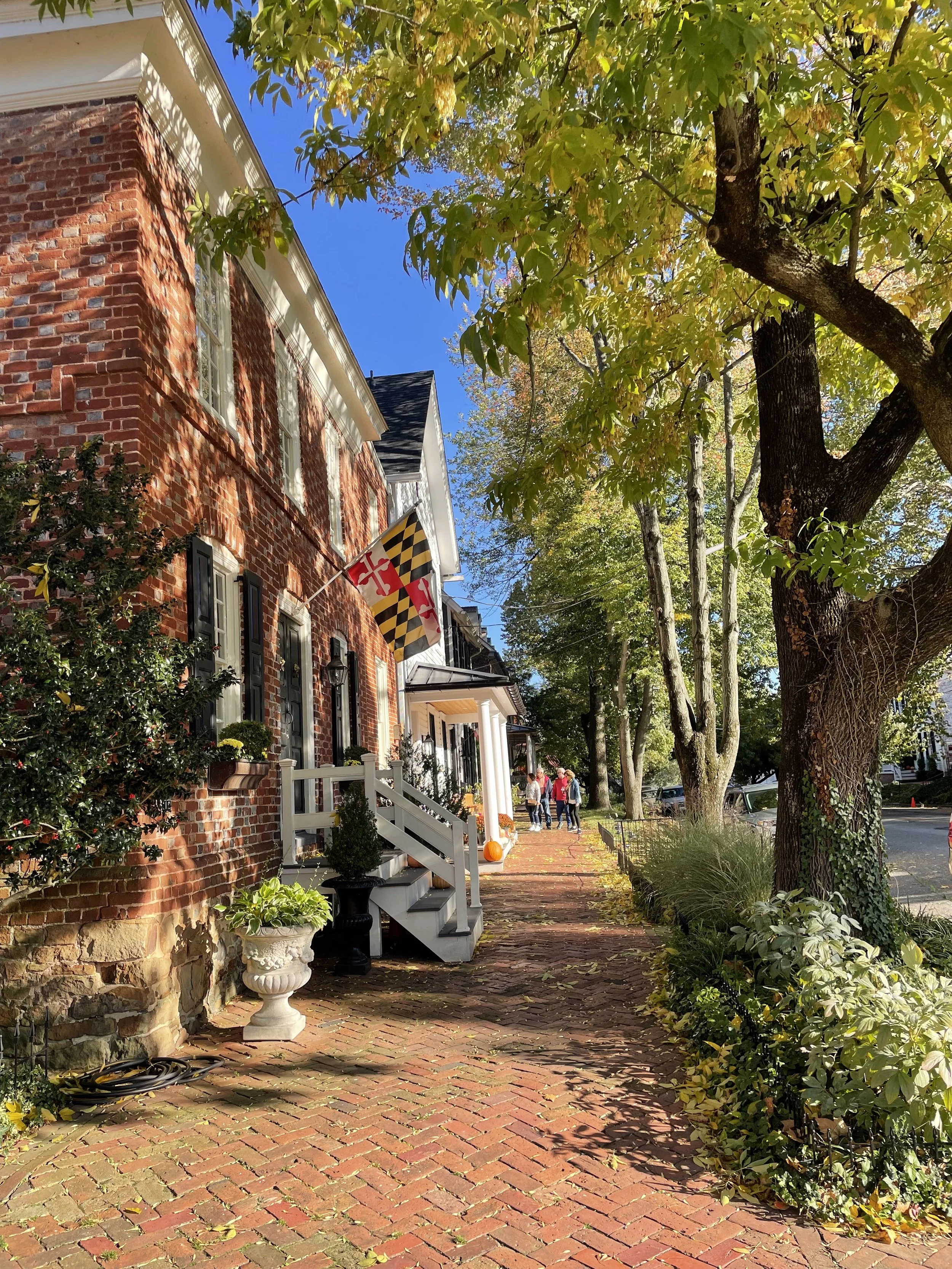 Anthony Judge & Ware in Chestertown, MD (3)