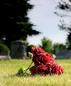 Nightingale Law Firm in Safety Harbor, FL (3)