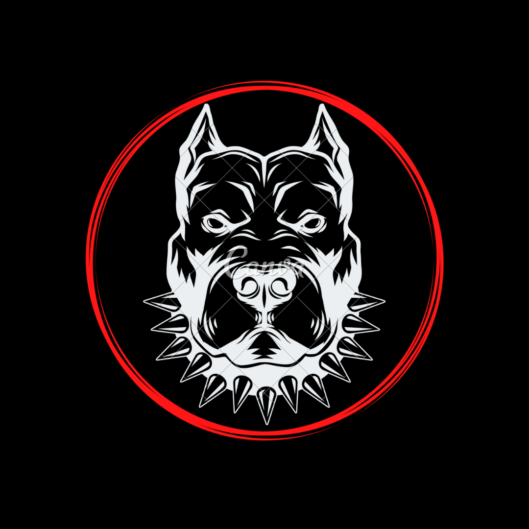 Top Dawg Detailing in Mooresville, NC (3)