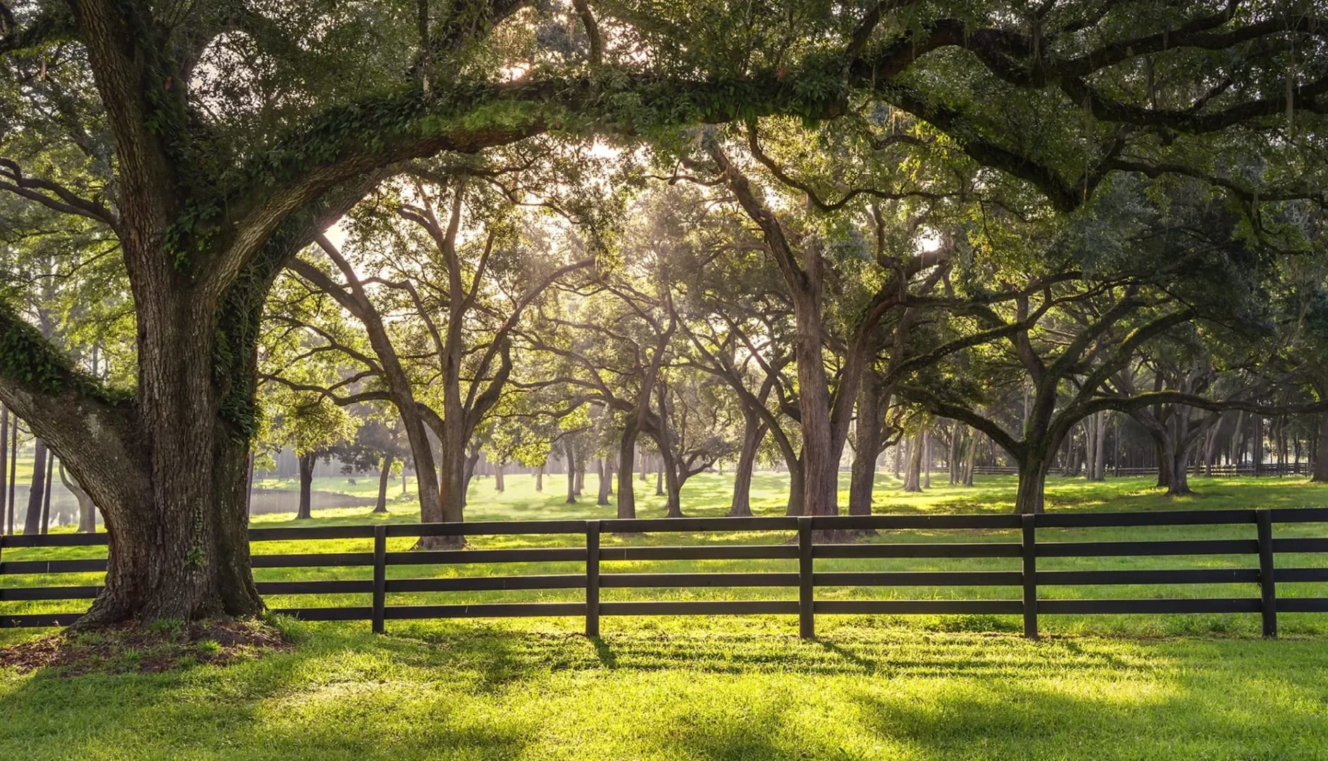 Southeast Realty Group in Macclenny, FL (2)