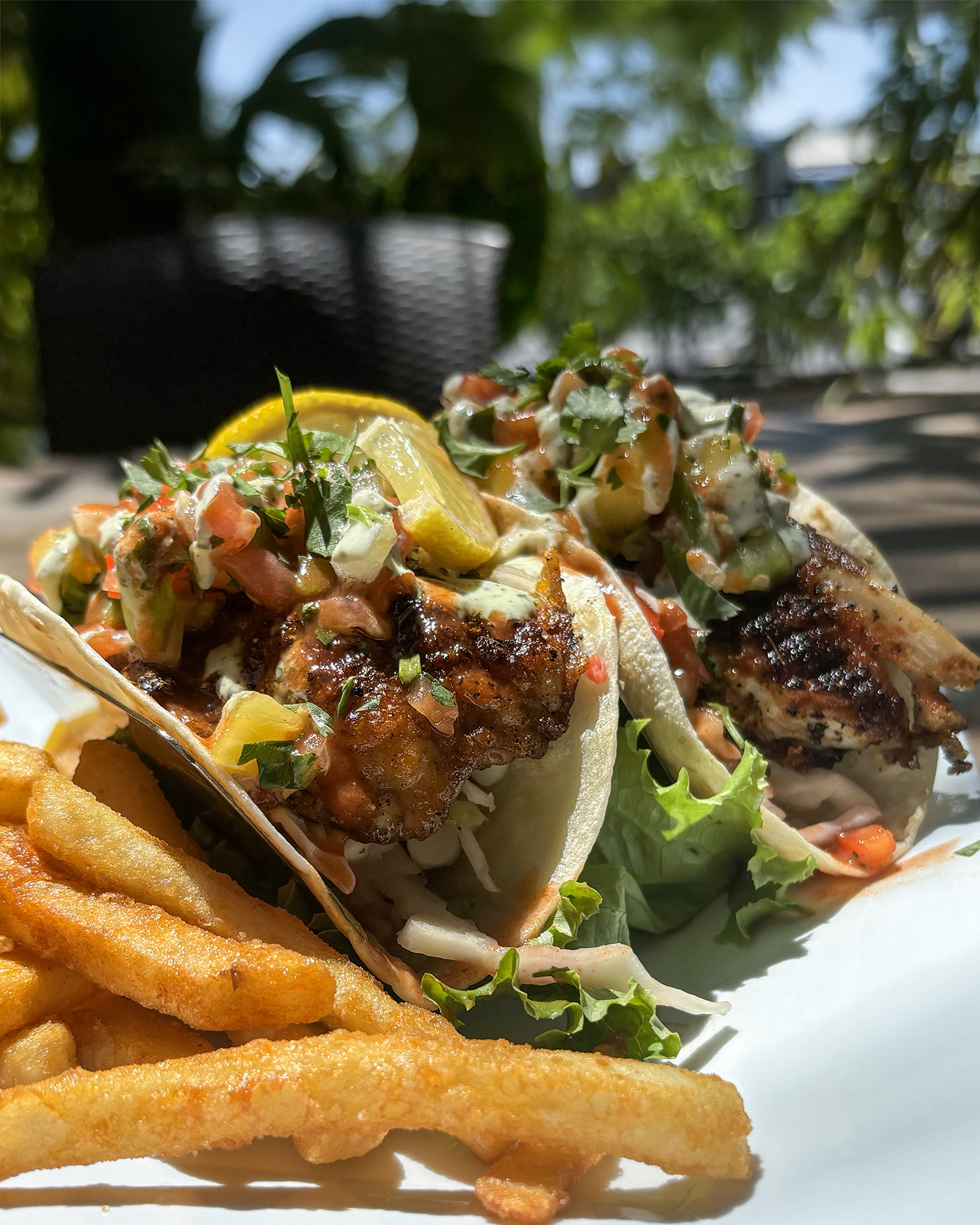 Yucatan Beach Stand Tiki Bar & Grill in Fort Myers Beach, FL (5)