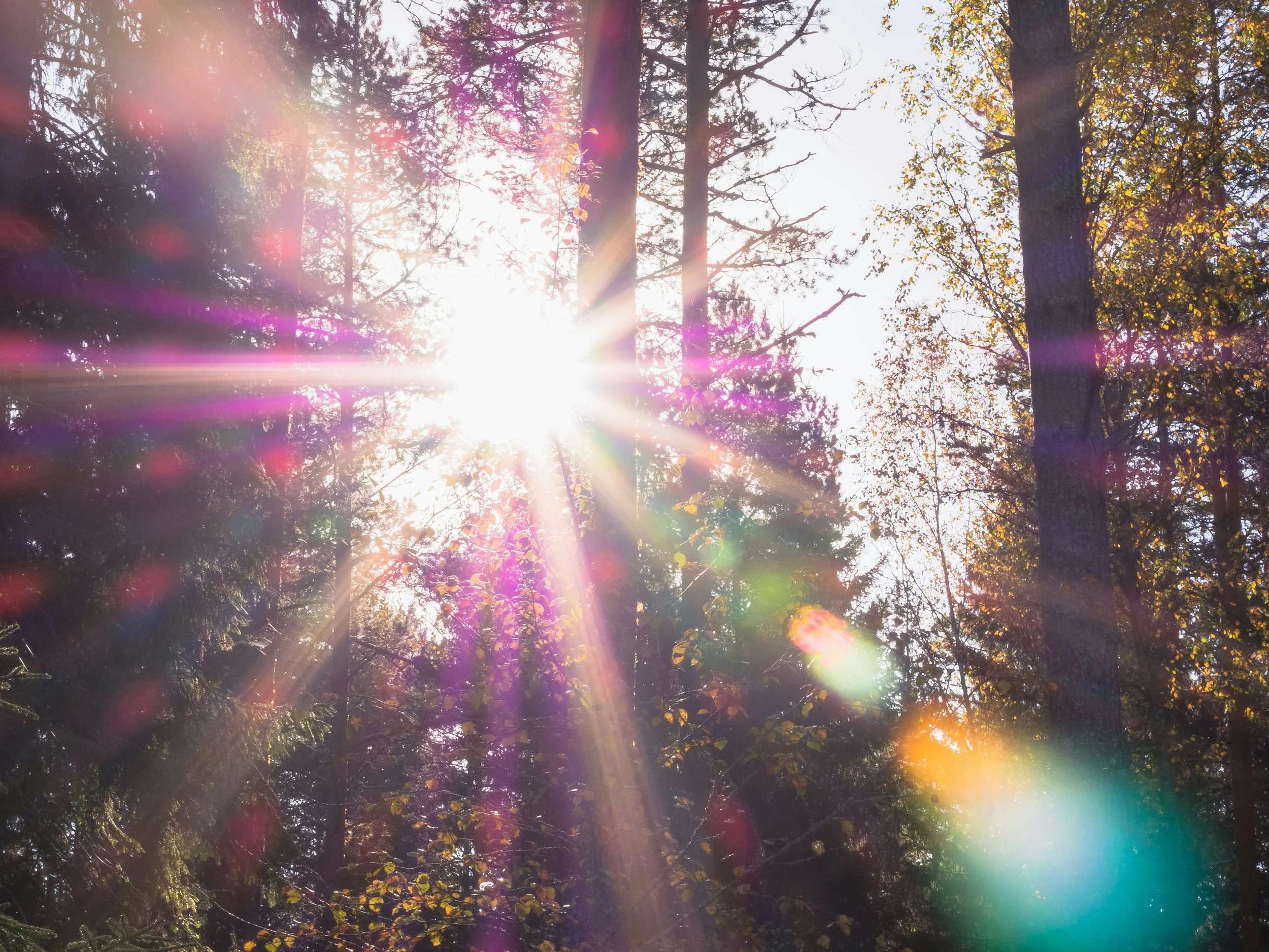 Rev. Shamalah-Allah Spiritual Counseling Psychic Readings in Concord, CA