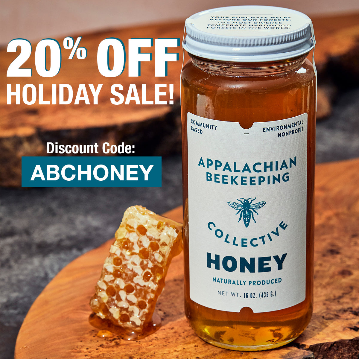 Appalacian Beekeeping Collective in Hinton, WV (3)