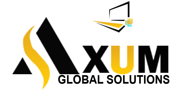 Axum Global Solutions Digital Marketing in Indian Rocks Beach, FL (6)