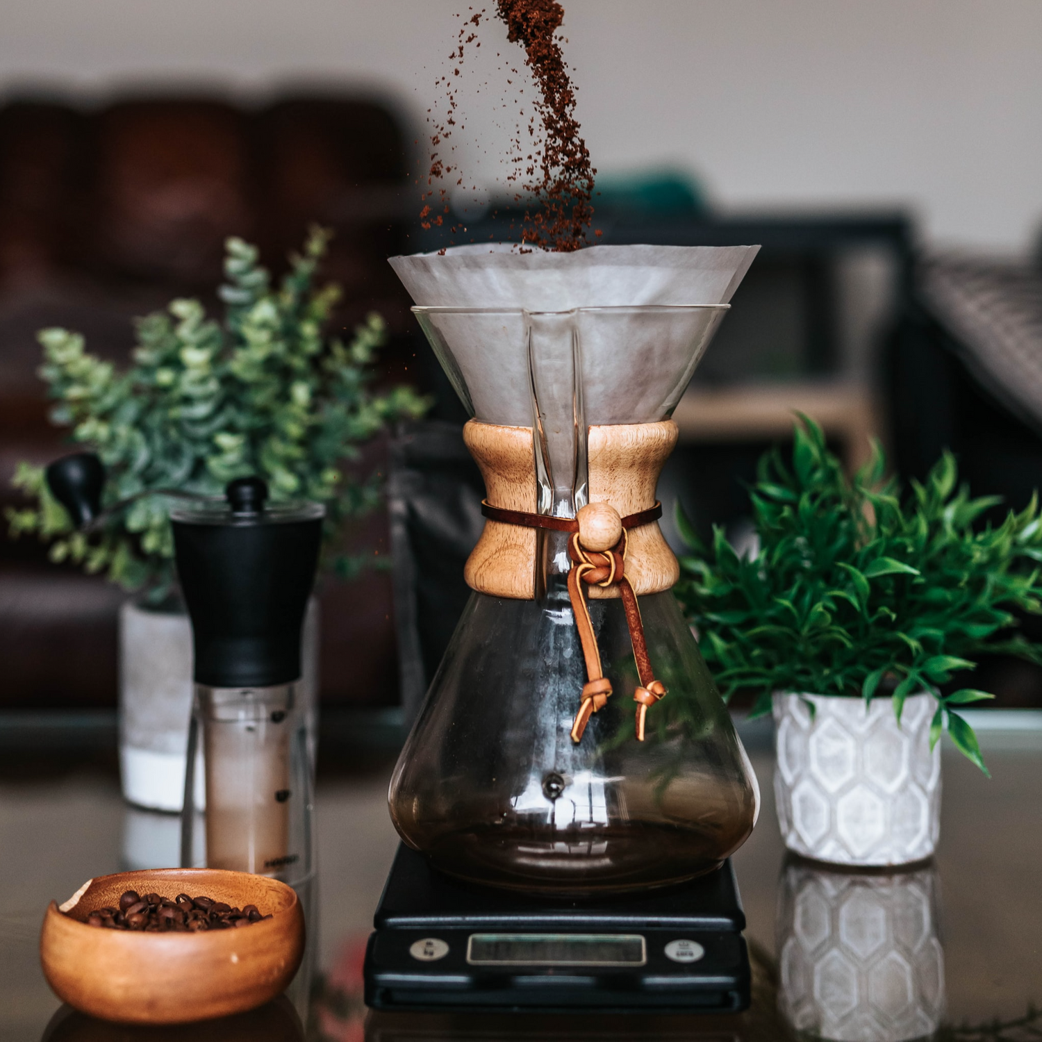 Raising Roots Coffee-Roastery in Bellville, OH