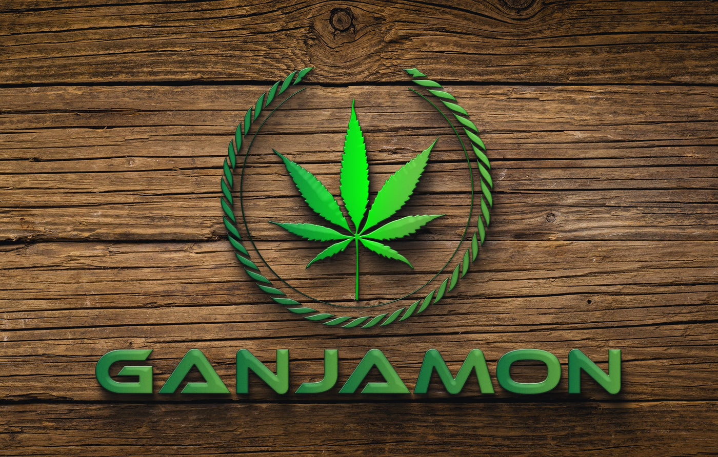 Ganja Mon in Sarasota, FL (4)
