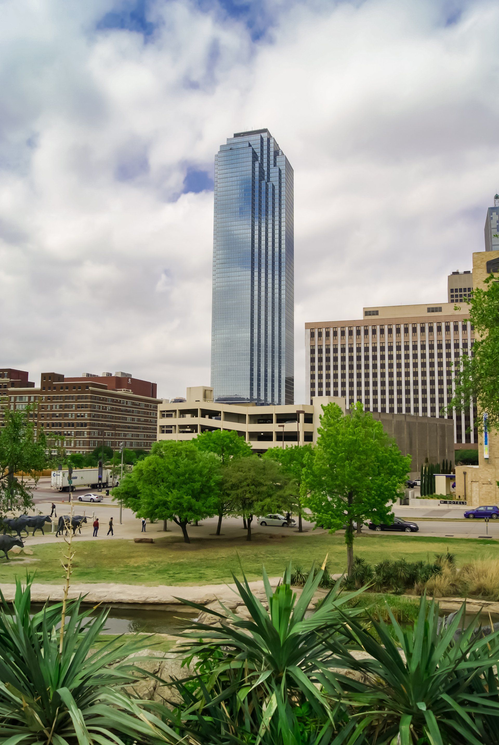 Living in Dallas Texas Team in Dallas, TX (3)