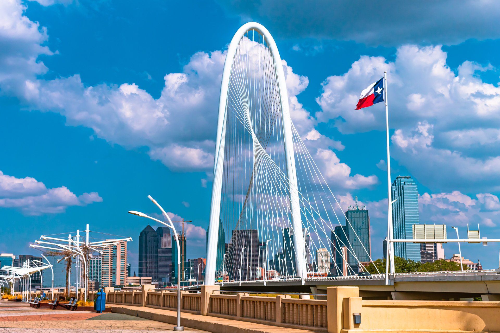 Living in Dallas Texas Team in Dallas, TX (4)
