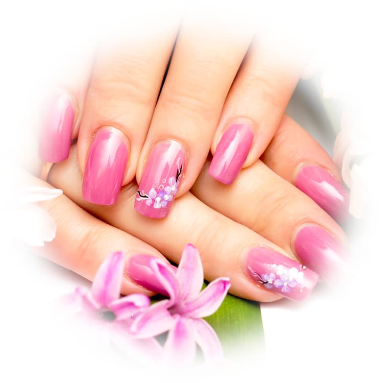 Nails by Bonnie in Madison, WI