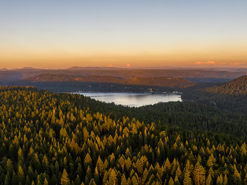 Debbie Dejesus, RE/MAX Gold in Grass Valley, CA (5)