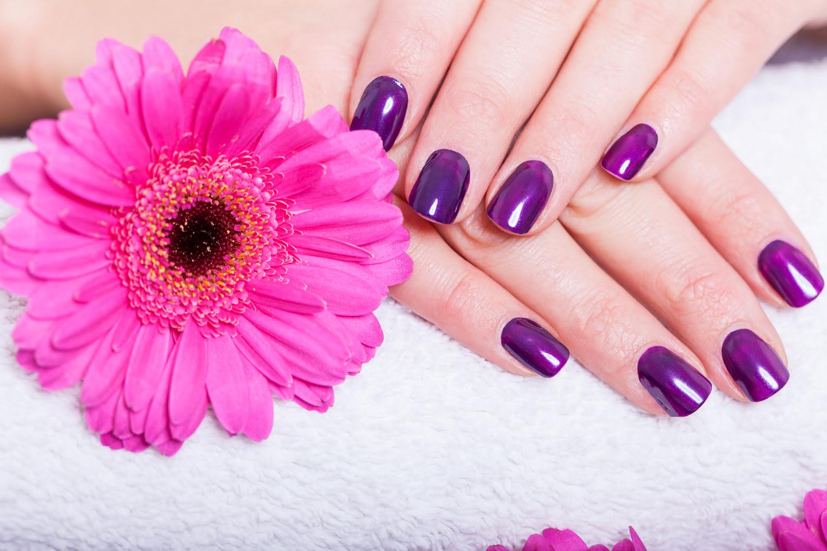 Monroe's Salon and Spa in Pickerington, OH (2)